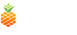 sellfromanywhere logo